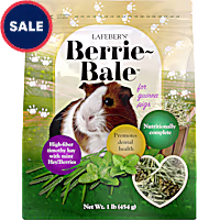 Lafeber's Mint Berrie-Bale for Guinea Pigs
