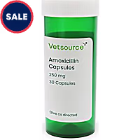 Amoxicillin Capsules (Generic) 250 mg