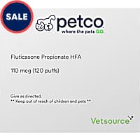 Fluticasone Propionate HFA (Generic) 110 mcg (120 puffs)