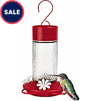 Nature's Way Charming Cherry Glass Gravity Hummingbird Feeder