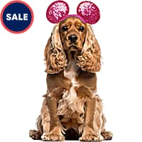 RUBIES Minnie Ears Valentines for Dogs