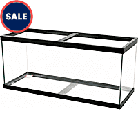 Petco aquarium sale hotsell 1 per gallon
