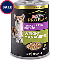 best wet food for cats with sensitive stomach Wellness Core Digestive Health Salmon Pate Recipe Wet Cat Food, 3-oz case of 12