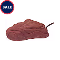 Zoo Med Repticare Rock Heaters, Mini