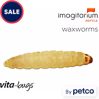 Vita-Bugs Waxworms