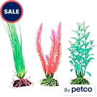 Petco fish tank shop decorations