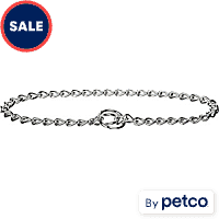 EveryYay Heavy Chain Control Collar for Dogs