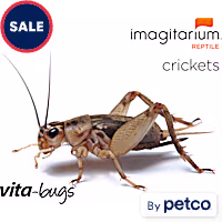 Imagitarium Vita-Bugs Crickets