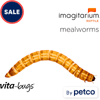 Vita-Bugs Mealworms
