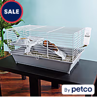 You & Me Guinea Pig Starter Kit