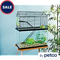 Cat proof mouse cage on sale