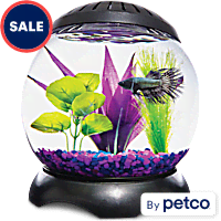 Aquariums, Fish Tanks & Bowls for Sale