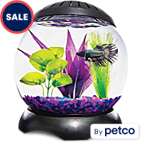 Fish Bowls Aquarium Kits Fish Tank Stands Petco