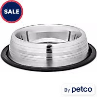 EveryYay Dining In Two-Toned No-Tip Stainless Steel Dog Bowl