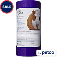 Guinea pig top toys petco
