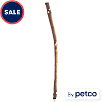Parrot Training Perch Stands