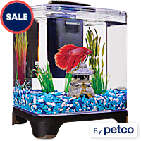 Blue Planet Glass Aquarium - 65L - Redwood Aquatics Aquarium