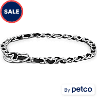 EveryYay Comfort Chain Dog Collar