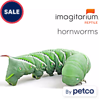 Hornworms
