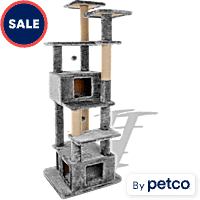 Cat furniture near me best sale