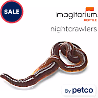 Nightcrawlers
