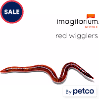 Red Wigglers