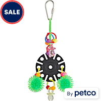 You & Me Rays The Roof Chewing Assorted Bird Toy