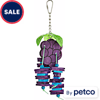 You & Me Grape Expectations Chewing Bird Toy