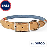 Buy Hunter MFG St. Louis Cardinals Dog Collar, Extra Small Online @ ₹2340  from ShopClues