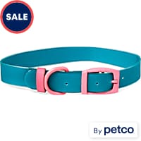 Buy Hunter MFG St. Louis Cardinals Dog Collar, Extra Small Online @ ₹2340  from ShopClues