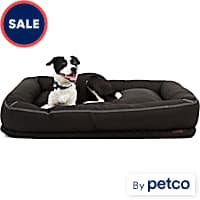 Petco dog bed coupon outlet
