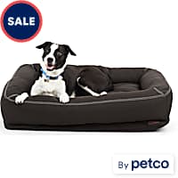 Kong dog bed petco clearance
