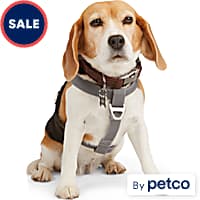 Petco dog lift harness hot sale
