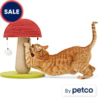 Cat Scratching Posts Boards Pads Petco