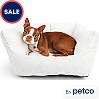 Kong dog bed petco hot sale