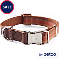 Reddy Stripe Dog Collar
