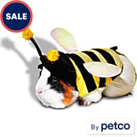 Guinea Pig Reptile Small Pet Halloween Costumes Petco