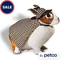 Guinea Pig Reptile Small Pet Halloween Costumes Petco