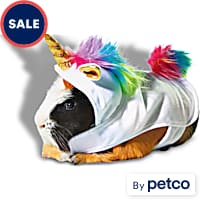 Guinea pig leash petco clearance