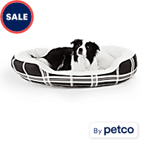 Petco best sale kong bed