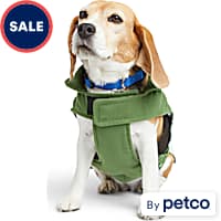 Thunder jacket petco clearance