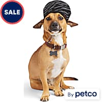 Dog graduation cap on sale petco