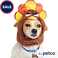 Petco dog christmas store outfits