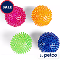 Leaps & Bounds Spiny Ball Assorted Dog Chew Toy