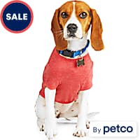 Pets First MLB National League East T-Shirt for Dogs, X-Large, Atlanta  Braves, Petco