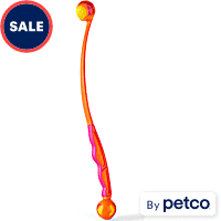 Petco flirt pole shop