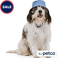 Dog Hats Beanies Summer Winter Head Gear Petco