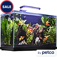 10 Gallons Fish Tanks Smaller Petco