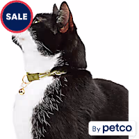 YOULY Rope Macrame Cat & Large Cat Collar