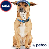 Dog Hats Beanies Summer Winter Head Gear Petco
